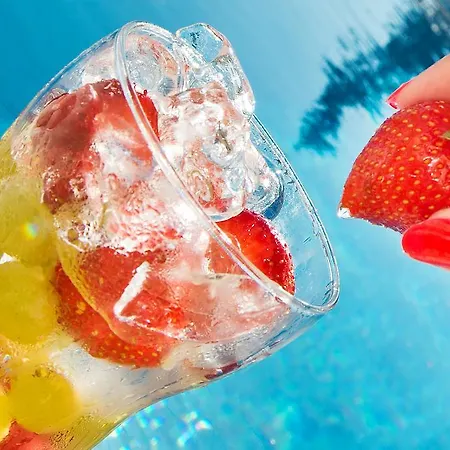 게스트하우스 빌라 아네모네 4*